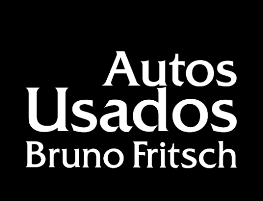 Autos Usados Vicuña Mackenna | Bruno Fritsch