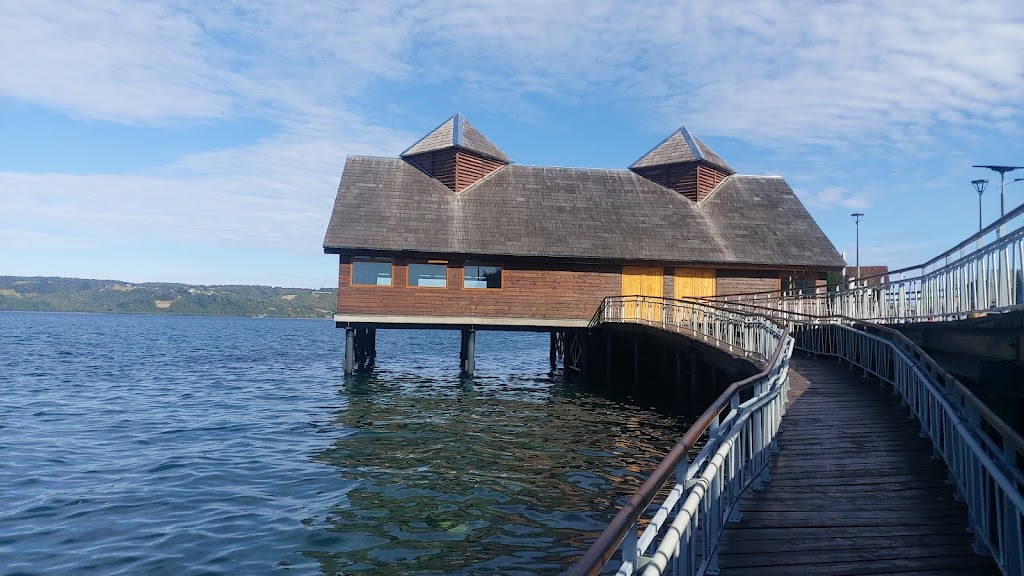 Cabañas y Departamentos Costa Sur